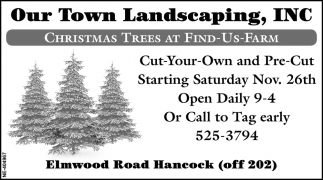 Christmas Trees At Find-Us-Farm