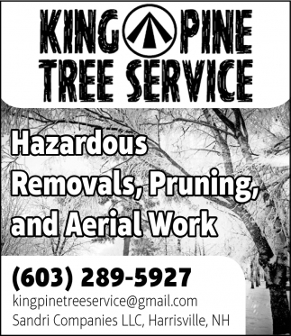 Removals, Pruning, And Aerial Work