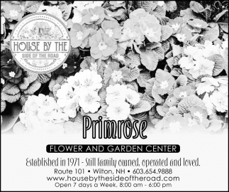 Primrose Flower and Garden Center