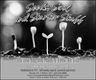 Seeds, Soil and Starter Stubb
