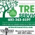 Professional And Efficient Tree Service