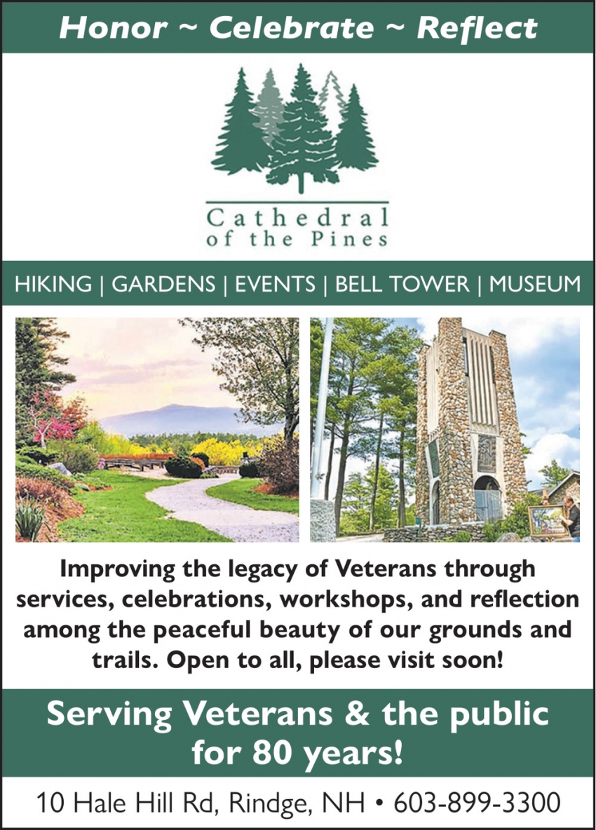 Catherdral Of The Pines