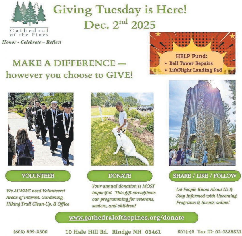 Catherdral Of The Pines