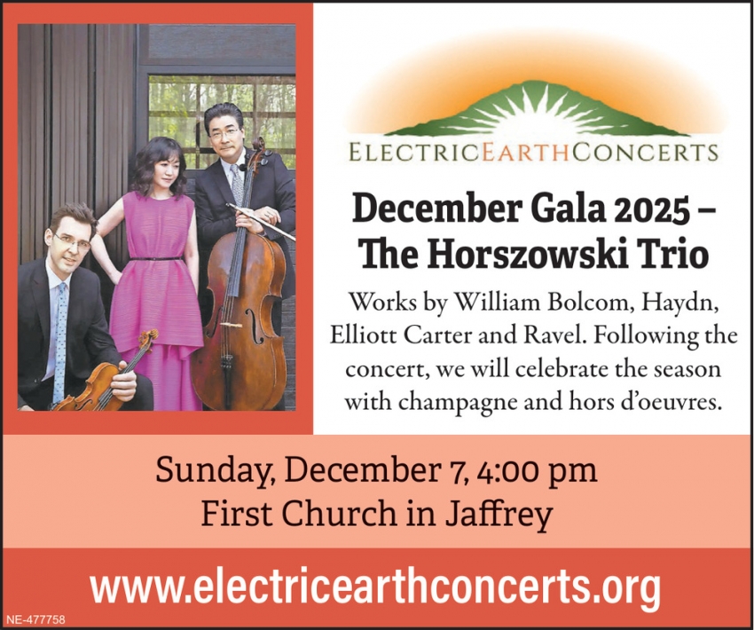 Electric Earth Concerts