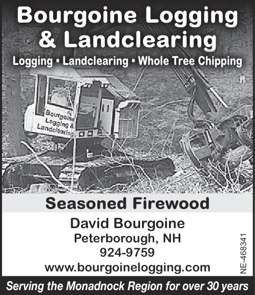 Bourgoine Logging & Landclearing 