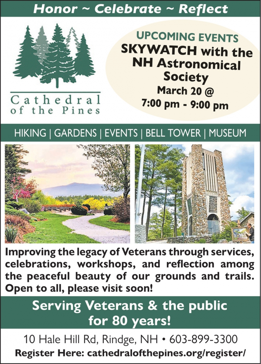 Catherdral Of The Pines