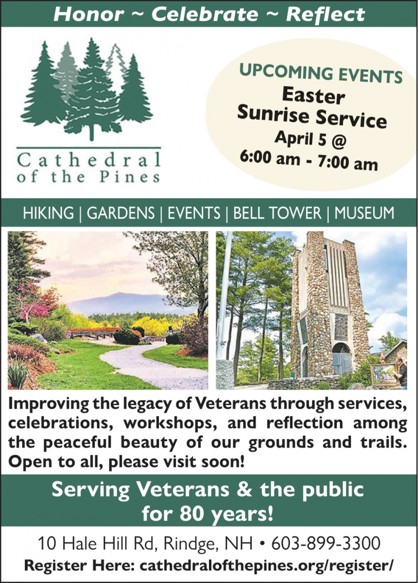 Cathedral Of The Pines