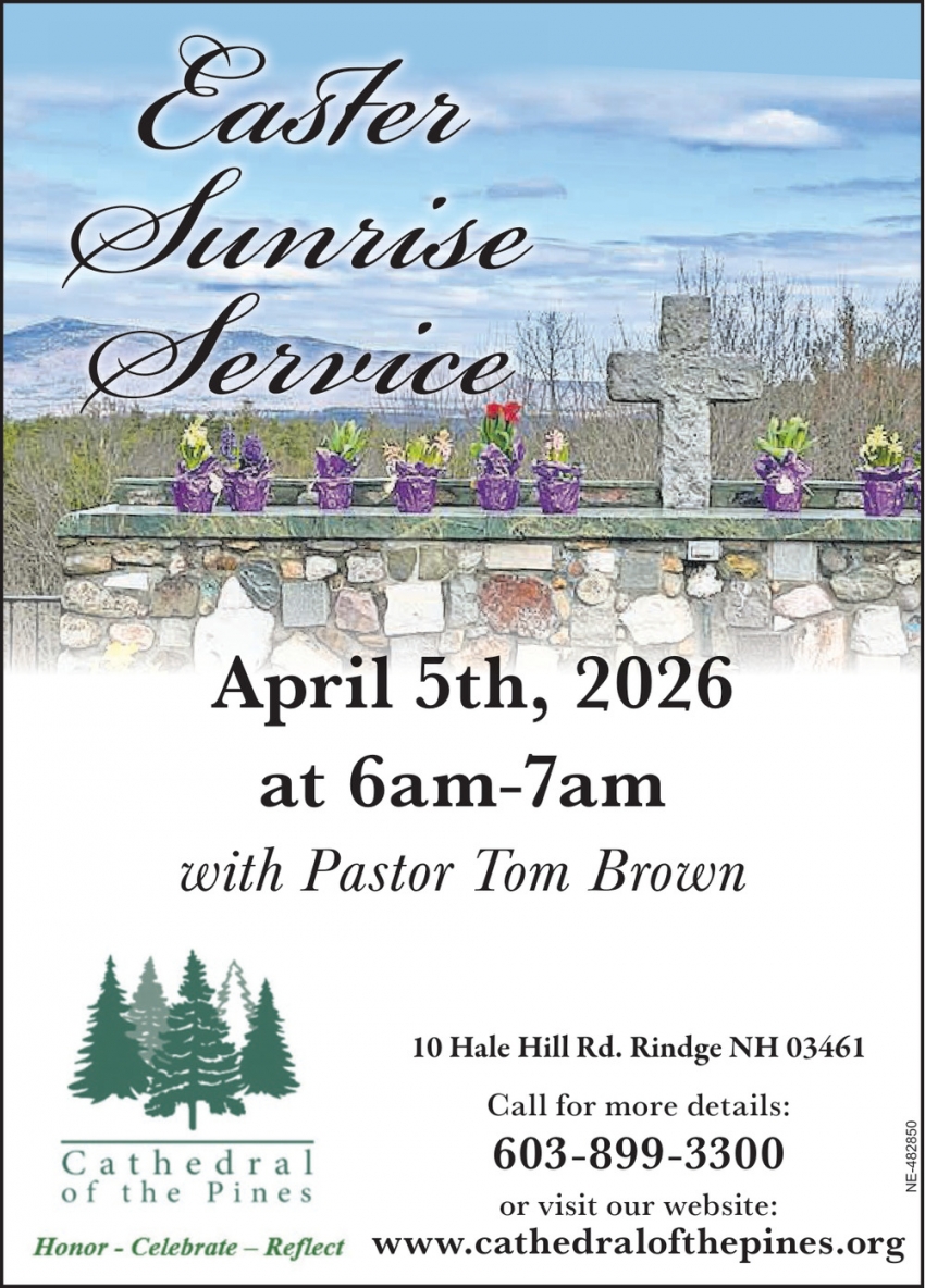 Catherdral Of The Pines