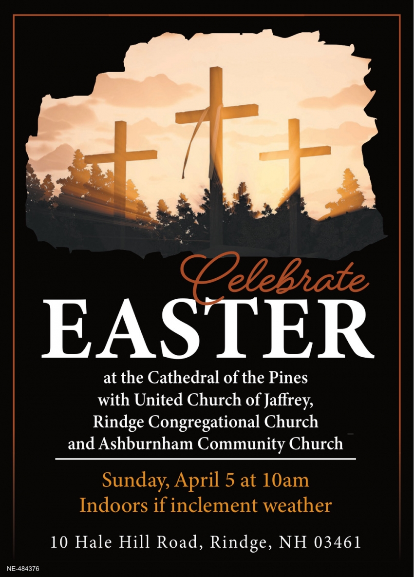 Cathedral Of The Pines