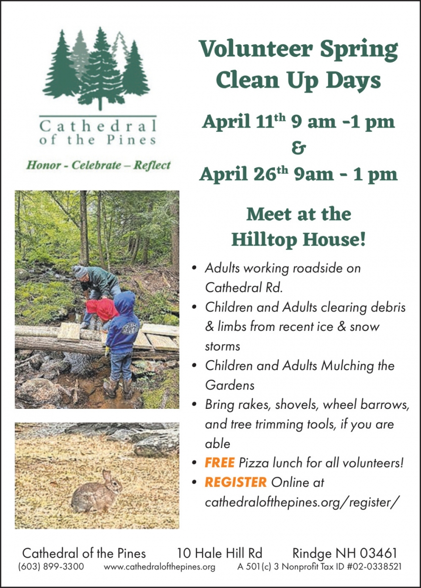 Catherdral Of The Pines