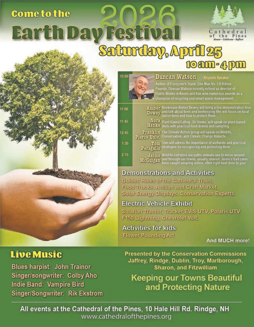 Catherdral Of The Pines