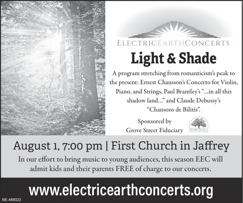 Electric Earth Concerts