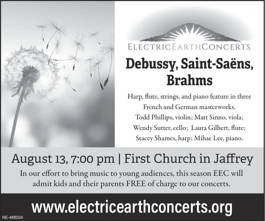 Electric Earth Concerts