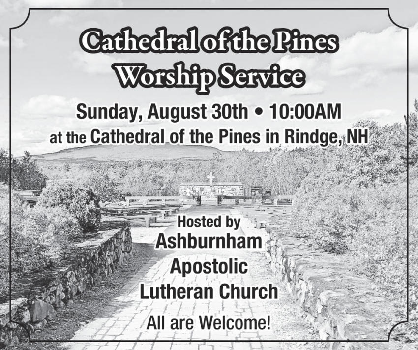 Cathedral Of The Pines