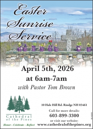 Catherdral Of The Pines