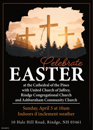 Cathedral Of The Pines