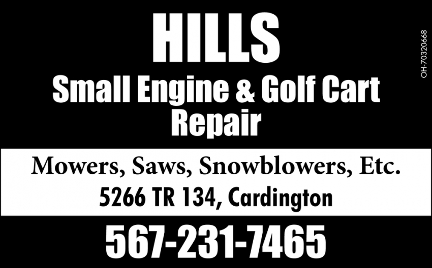 Small Engine & Golf Cart Repair