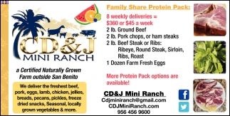 Family Share Protein Pack
