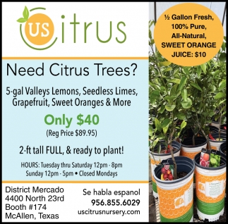 Need Citrus Trees?