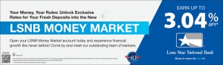 LSNB Money Market