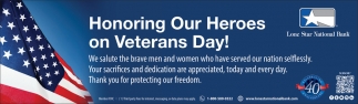 Honoring Our Heroes On Veterans Day!