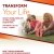 Transform Your Life
