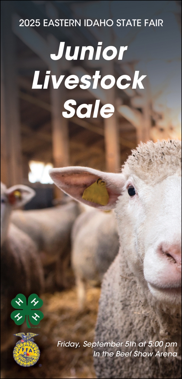 Junior Livestock Sale, Eastern Idaho State Fair, Blackfoot, ID