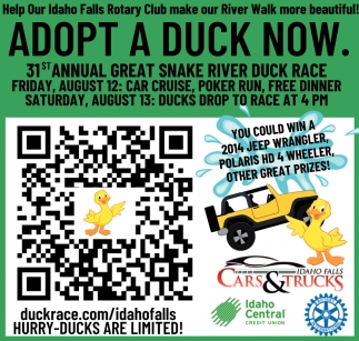 Adopt a Duck Now