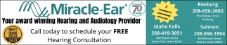 Hearing and Audiology Provider