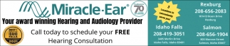 Hearing and Audiology Provider