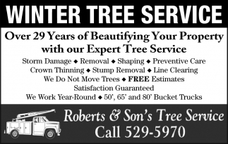Winter Tree Service