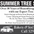 Summer Tree Service