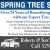 Spring Tree Service