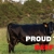 Proud to Support Beef Producers