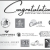 Congratulations! 2025 Silver Stars Honorees