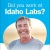 Did You Work at Idaho Labs?