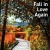 Fall In Love Again