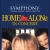 Home Alone In Concert