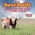All the Best Bulls