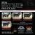 Bull Sale