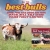 All the Best Bulls