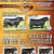 Angus Bull Sale