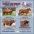51st Bull Sale!