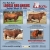 51st Bull Sale!