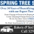 Spring Tree Service