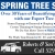 Spring Tree Service