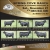Bull Sale