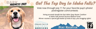 Got The Top Dog In Idaho Falls?