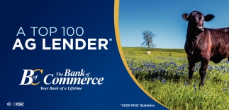 A Top 100 Ag Lender