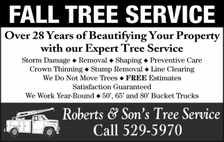 Fall Tree Service